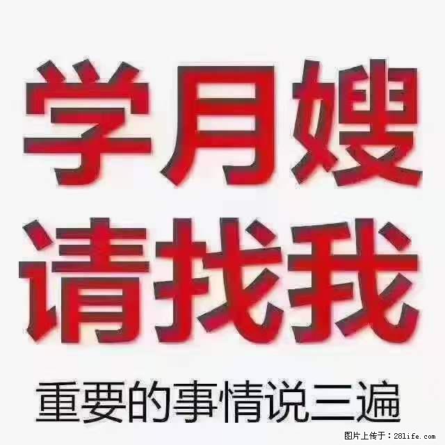为什么要学习月嫂,育婴师? - 其他广告 - 广告专区 - 阿拉善盟分类信息 - 阿拉善盟28生活网 alsm.28life.com