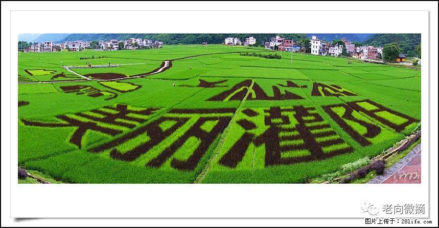 【春天，广西桂林灌阳县向您发出邀请！】开篇 - 游山玩水 - 阿拉善盟生活社区 - 阿拉善盟28生活网 alsm.28life.com