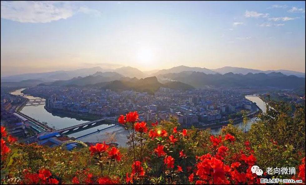 【春天，广西桂林灌阳县向您发出邀请！】登麒麟山，相约映山红 - 游山玩水 - 阿拉善盟生活社区 - 阿拉善盟28生活网 alsm.28life.com