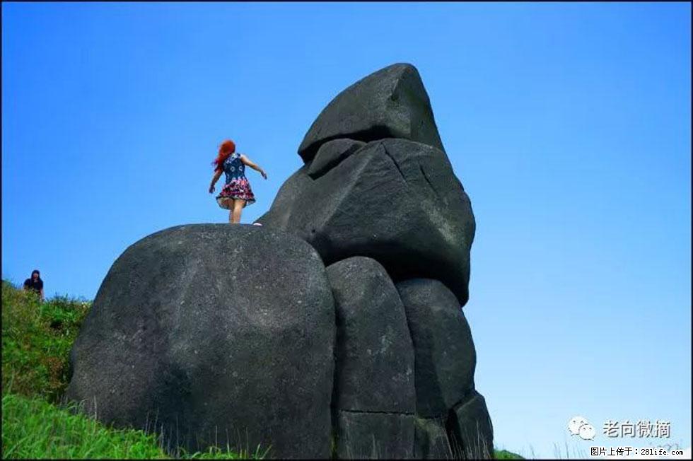 【春天,广西桂林灌阳县向您发出邀请!】宝盖山上映山红 - 游山玩水 - 阿拉善盟生活社区 - 阿拉善盟28生活网 alsm.28life.com