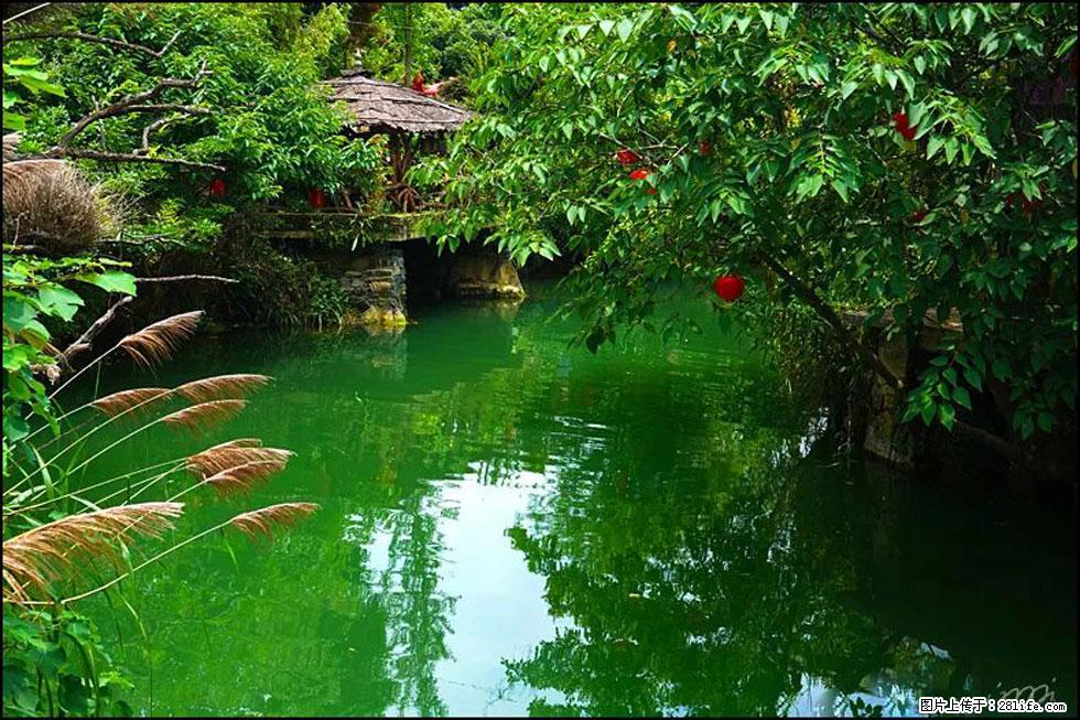 【春天，广西桂林灌阳县向您发出邀请！】如梦似幻莲溪庐 - 游山玩水 - 阿拉善盟生活社区 - 阿拉善盟28生活网 alsm.28life.com