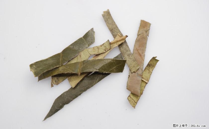 苦丁茶有哪些功效和作用 - 生活百科 - 阿拉善盟生活社区 - 阿拉善盟28生活网 alsm.28life.com