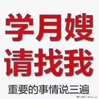 为什么要学习月嫂，育婴师？ - 阿拉善盟28生活网 alsm.28life.com