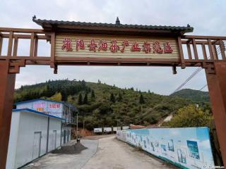 【灌阳县油茶产业示范区】一个有着充实的精神生活的人，对待身外之物自会有一种淡泊的态度 - 阿拉善盟28生活网 alsm.28life.com