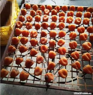 广西桂林平乐桥亭【柿饼之乡】2025年纯手工制作、无任何添加剂的第一批柿饼准备上市了，欢迎联系订购！ - 阿拉善盟28生活网 alsm.28life.com