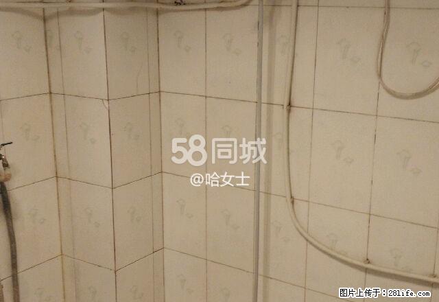 上前城康居南区 2室1厅1卫 - 房屋出租 - 房屋租售 - 阿拉善盟分类信息 - 阿拉善盟28生活网 alsm.28life.com