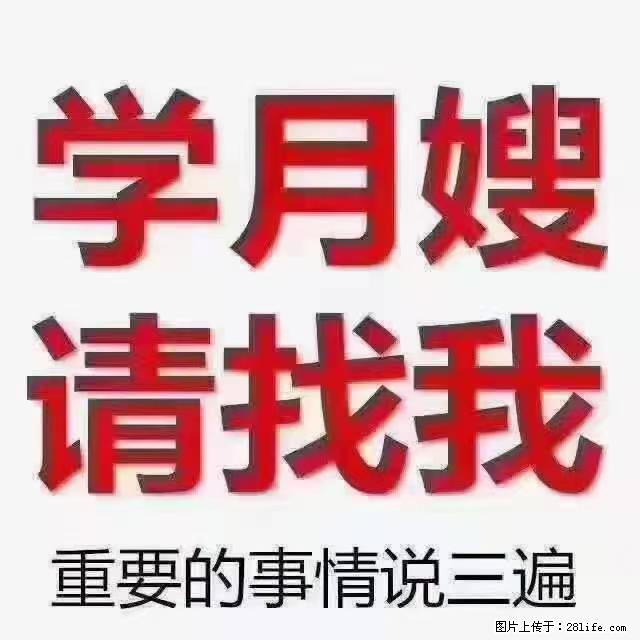 【招聘】月嫂，上海徐汇区 - 职场交流 - 阿拉善盟生活社区 - 阿拉善盟28生活网 alsm.28life.com