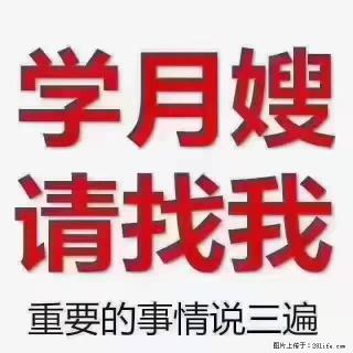【招聘】月嫂，上海徐汇区 - 阿拉善盟28生活网 alsm.28life.com