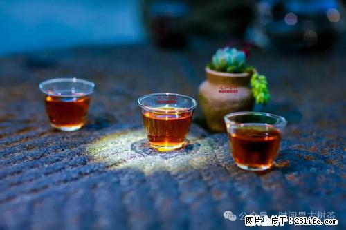 时间果百年古树2025年春红茶 - 购物交流 - 阿拉善盟生活社区 - 阿拉善盟28生活网 alsm.28life.com