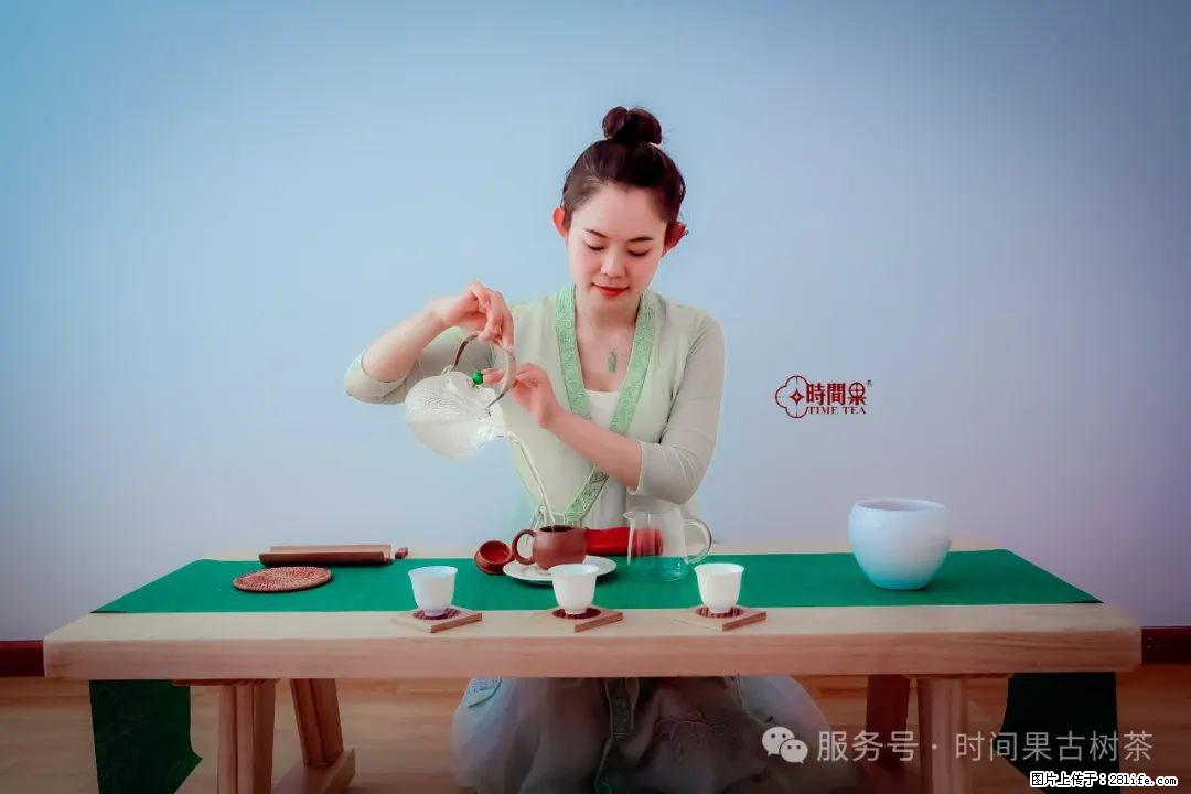 时间果百年古树龙珠普洱生茶 - 购物交流 - 阿拉善盟生活社区 - 阿拉善盟28生活网 alsm.28life.com