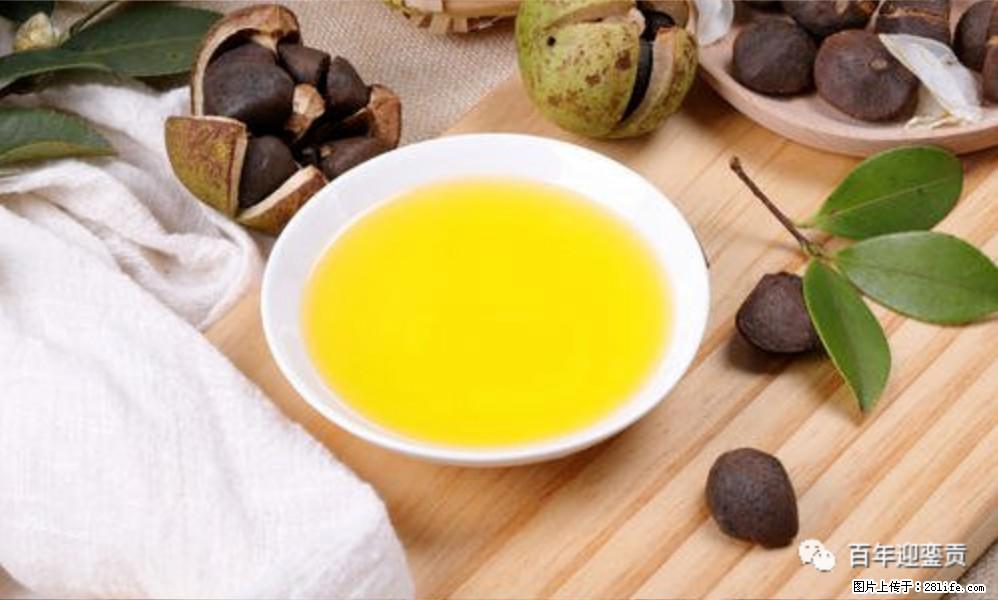 揭秘茶油的5大核心营养成分!被称为人体健康的“守护盾”! - 阿拉善盟生活资讯 - 阿拉善盟28生活网 alsm.28life.com