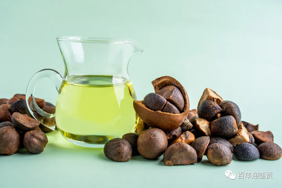 世界没有真相,只有认知,最好的食用油是中国的山茶油! - 阿拉善盟生活资讯 - 阿拉善盟28生活网 alsm.28life.com