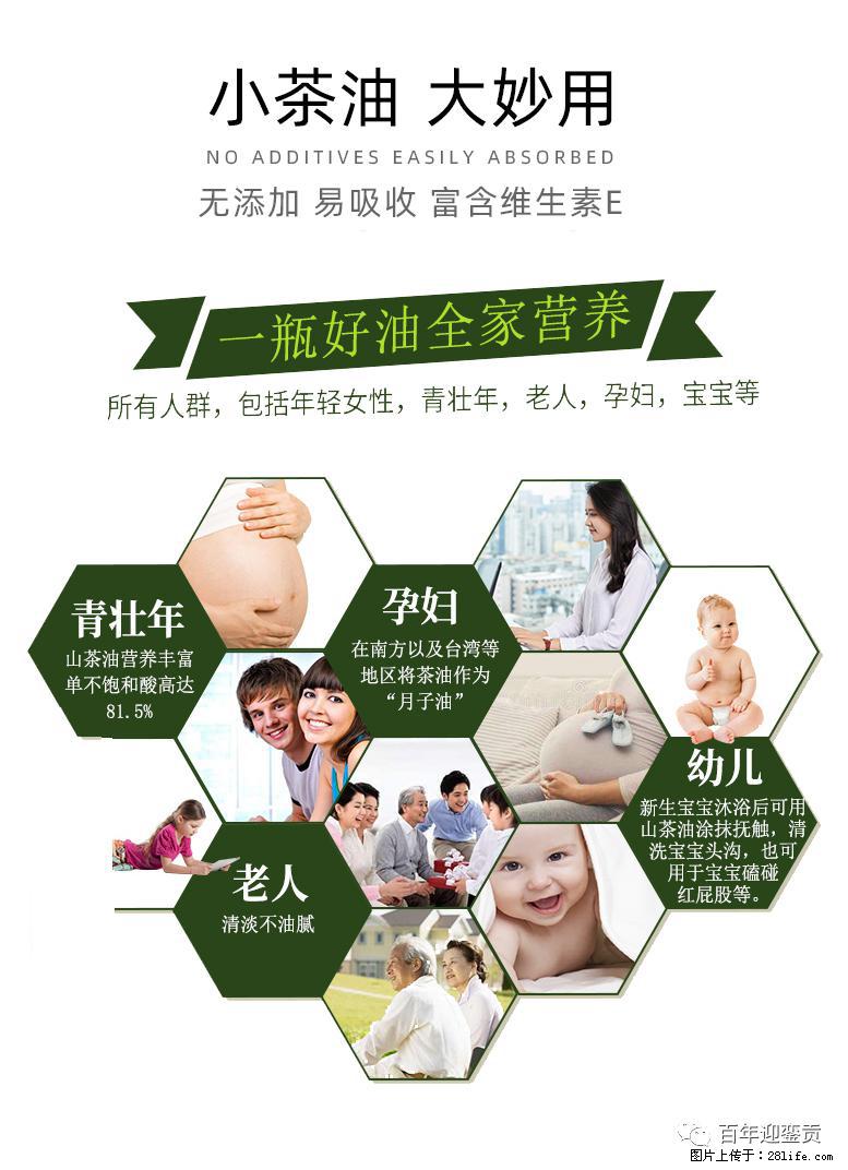 世界没有真相,只有认知,最好的食用油是中国的山茶油! - 阿拉善盟生活资讯 - 阿拉善盟28生活网 alsm.28life.com