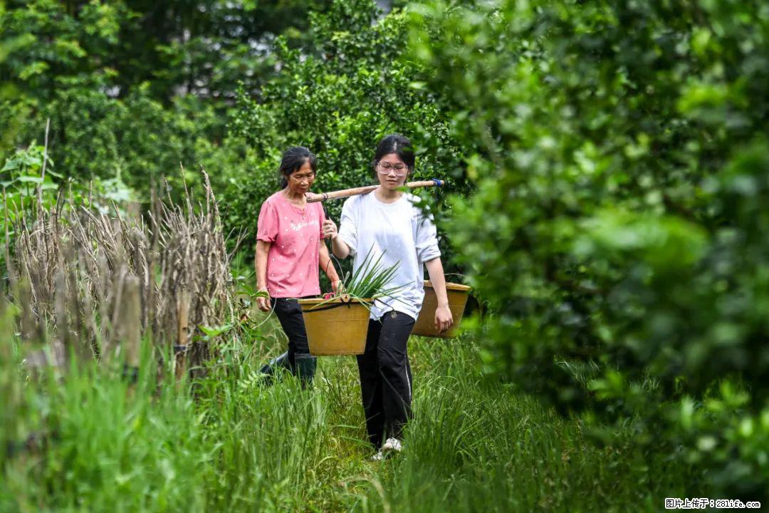 全网追的“扁担女孩”，找了一份暑假工，时薪12元 - 阿拉善盟生活资讯 - 阿拉善盟28生活网 alsm.28life.com