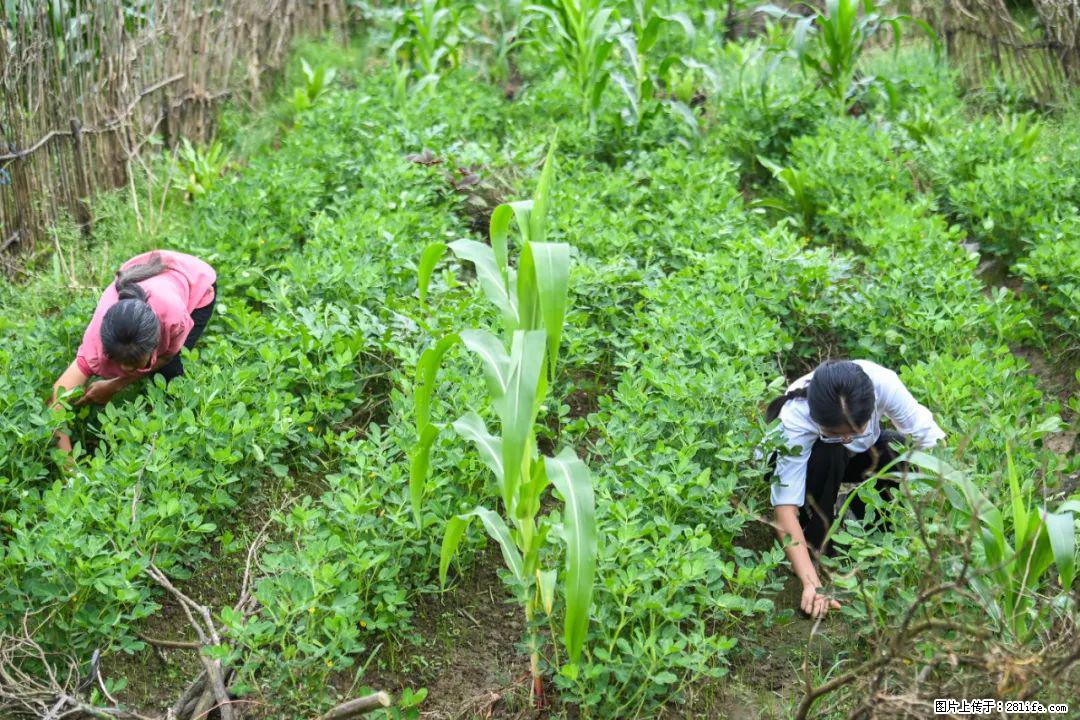 全网追的“扁担女孩”，找了一份暑假工，时薪12元 - 阿拉善盟生活资讯 - 阿拉善盟28生活网 alsm.28life.com