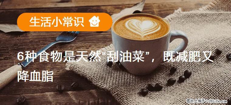 【生活小常识】6种食物是天然“刮油菜”，既减肥又降血脂 - 阿拉善盟生活资讯 - 阿拉善盟28生活网 alsm.28life.com