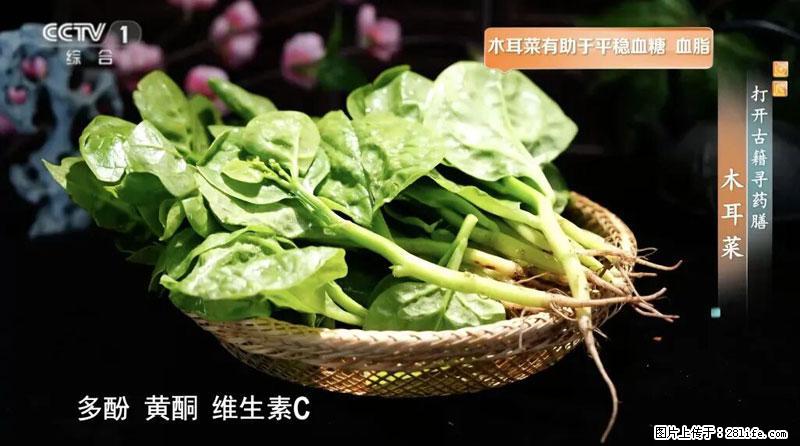 比牛奶补钙还厉害!凉血解毒、稳血糖...这菜冬天必吃,很多人却当草 - 阿拉善盟生活资讯 - 阿拉善盟28生活网 alsm.28life.com