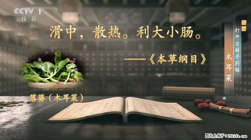 比牛奶补钙还厉害!凉血解毒、稳血糖...这菜冬天必吃,很多人却当草 - 阿拉善盟生活资讯 - 阿拉善盟28生活网 alsm.28life.com