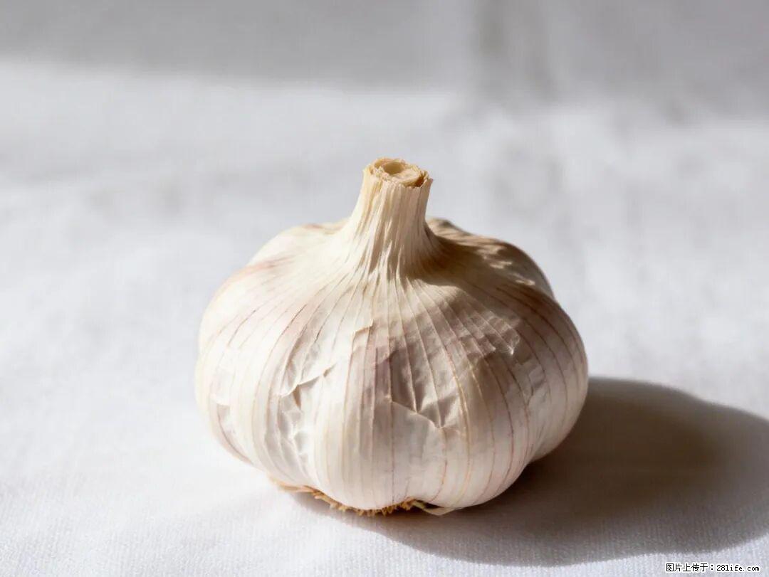 关于大蒜，除了“天然抗生素”，这4个谣言更该警惕! - 阿拉善盟生活资讯 - 阿拉善盟28生活网 alsm.28life.com