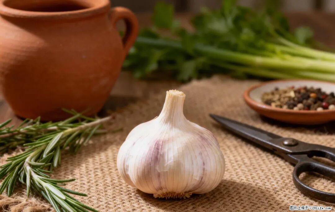 关于大蒜，除了“天然抗生素”，这4个谣言更该警惕! - 阿拉善盟生活资讯 - 阿拉善盟28生活网 alsm.28life.com