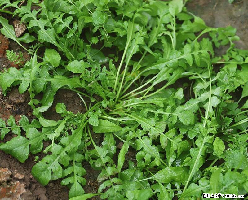 这些蔬菜是“天然钙片”，这6种被医生重点推荐 - 阿拉善盟生活资讯 - 阿拉善盟28生活网 alsm.28life.com