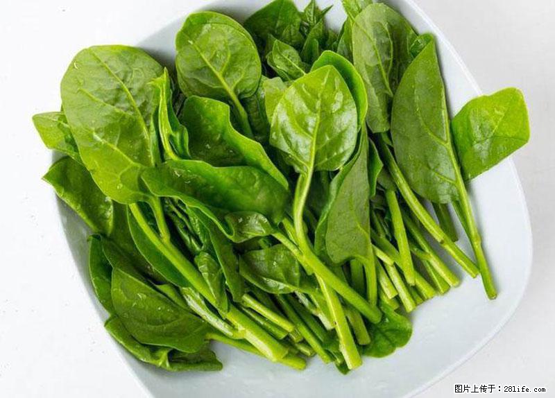 这些蔬菜是“天然钙片”，这6种被医生重点推荐 - 阿拉善盟生活资讯 - 阿拉善盟28生活网 alsm.28life.com