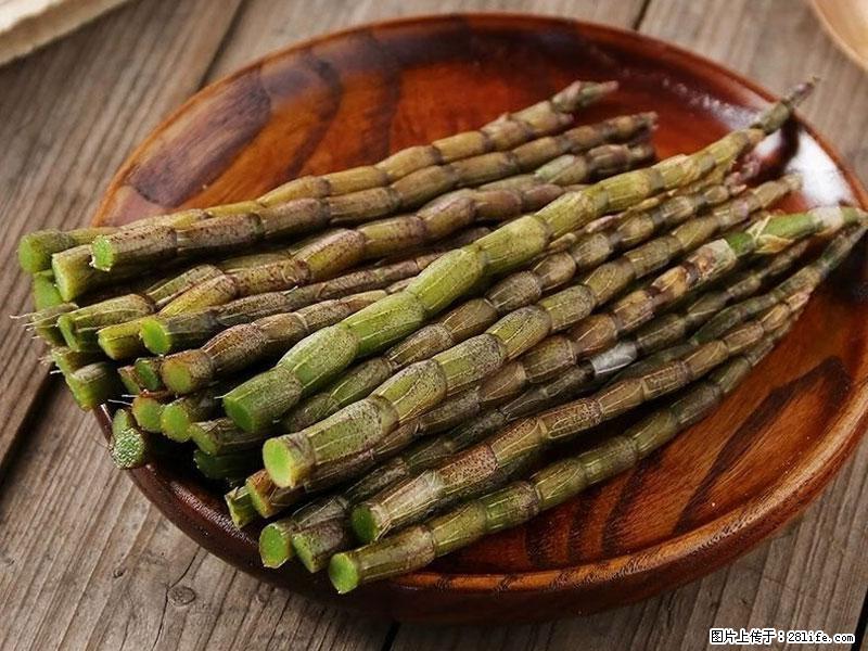 铁皮石斛的作用与功能主治 - 阿拉善盟生活资讯 - 阿拉善盟28生活网 alsm.28life.com