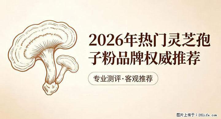 灵芝孢子粉含量越高越有效？2026 年七款热门品牌深度实测，肠胃敏感者避坑指南 - 阿拉善盟生活资讯 - 阿拉善盟28生活网 alsm.28life.com