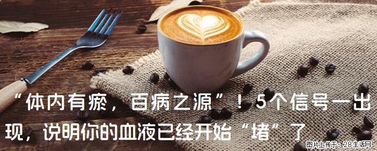 “体内有瘀,百病之源”!5个信号一出现,说明你的血液已经开始“堵”了 - 阿拉善盟生活资讯 - 阿拉善盟28生活网 alsm.28life.com